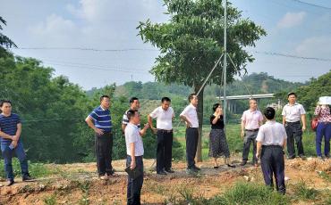 今年中央預(yù)算內(nèi)投資5376億元，支持生態(tài)環(huán)保等領(lǐng)域建設(shè)
